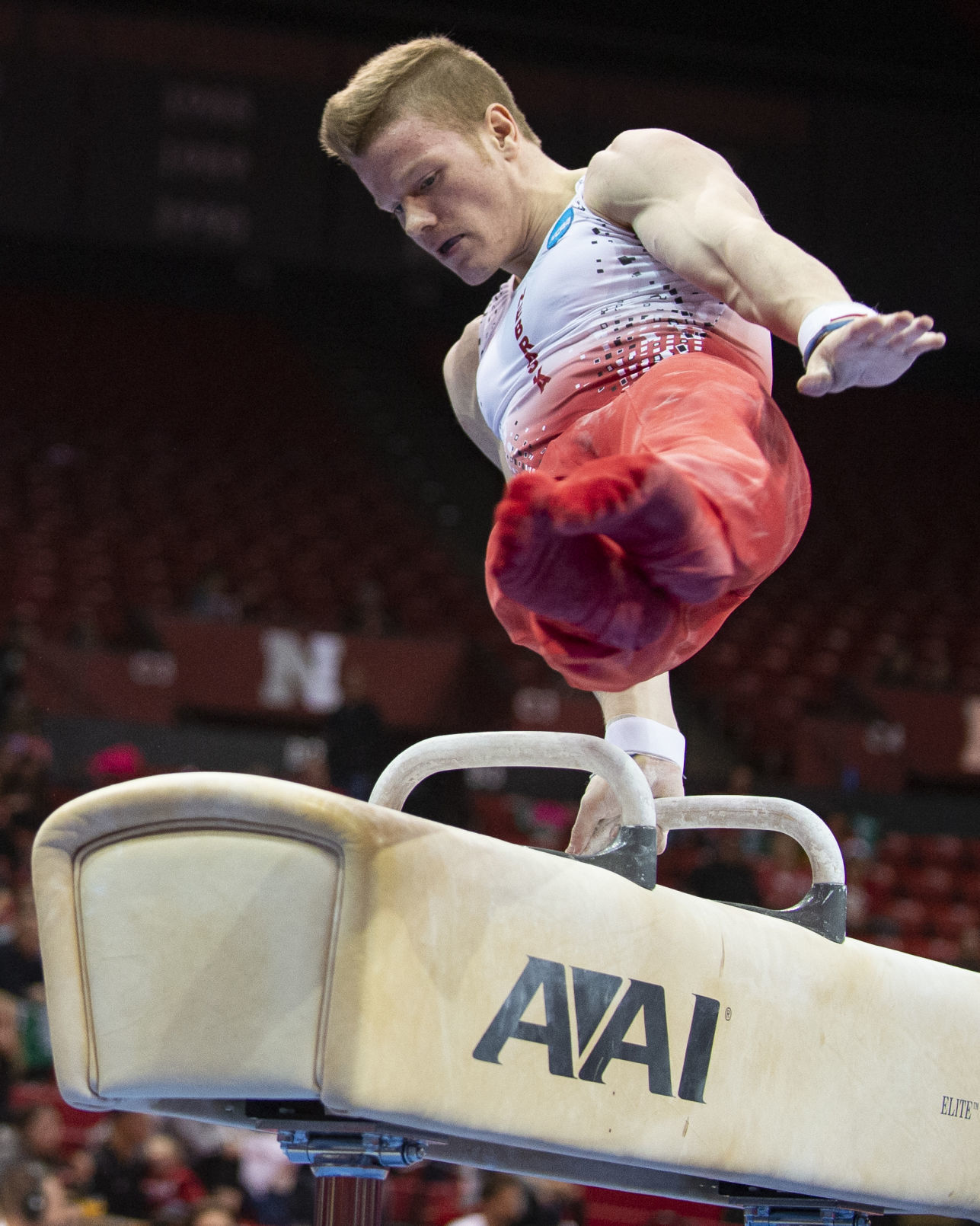 NU men's gymnastics vs. Illinois, Oklahoma, 2.2